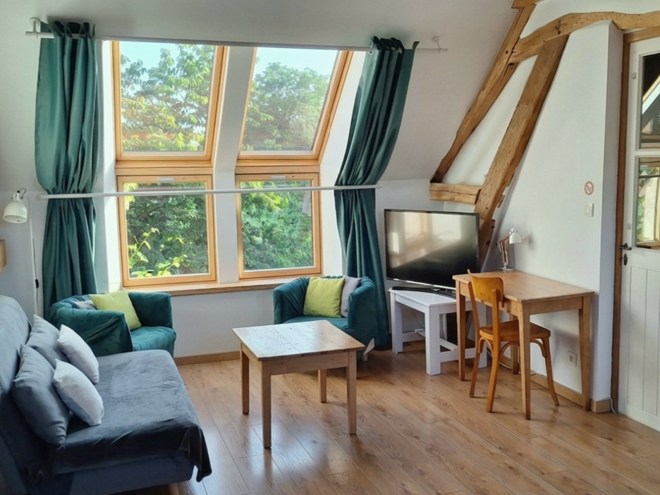 Gîte Le Petit Verger - Salon du loft cathédrale à Courbouzon